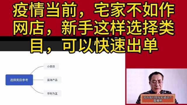 疫情宅家,不如做电商,只要选好类目就成功一半,后续操作会非常轻松