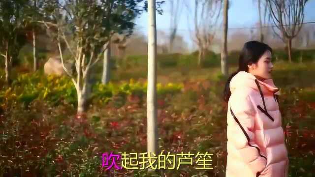 一首《花桥流水》歌声婉转悠扬,唯美又动