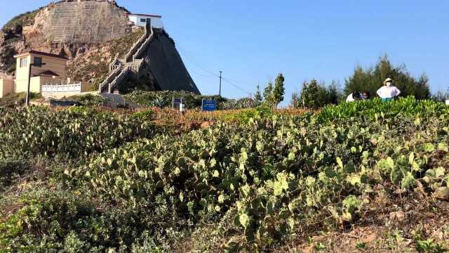 海南岛解禁停留一个月乐东终于换个地方生活,东方市鱼鳞洲风景区