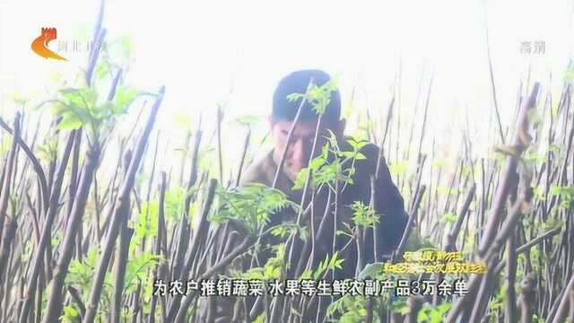 “云服务”在线帮忙 “菜篮子”稳产保供