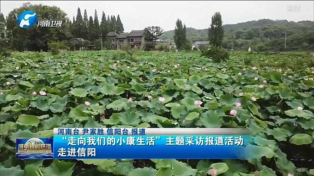 “走向我们的小康生活”主题采访报道活动走进信阳