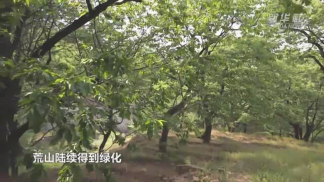 从穷山沟到“太行明珠”——河北前南峪村的小康之路