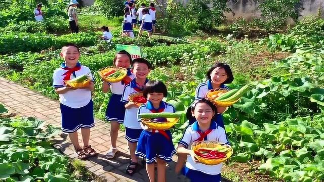 江西:一小学打造“开心农场” 让孩子们感受劳动的快乐