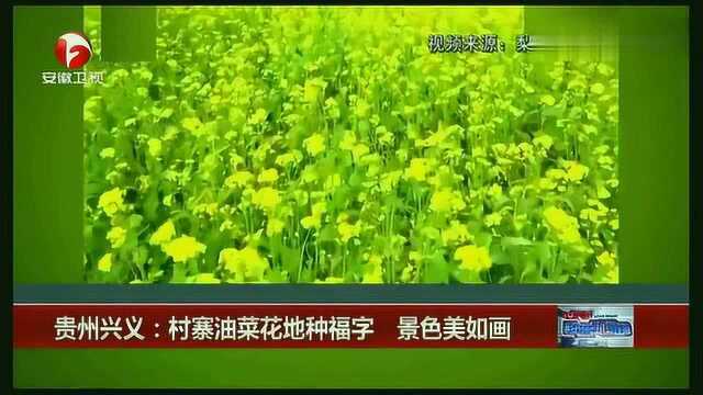 超级新闻场:村寨油菜花地种福字,景色美如画