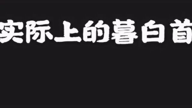 《暮白首》你以为的暮白首VS实际上的暮白首 这种反差喜欢吗?