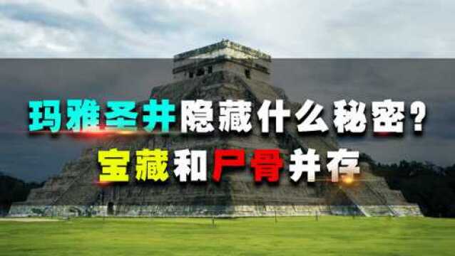 玛雅圣井隐藏什么秘密?宝藏和尸骨并存,寻宝者为它发疯