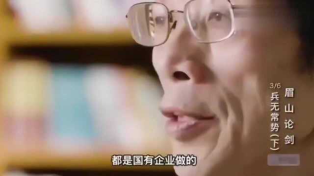 私企和国企哪个效率高?陈平教授一番分析,通俗易懂!