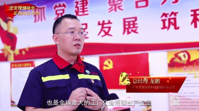 坚定理想信念,牢握政治方向:广东雪榕科技有限公司