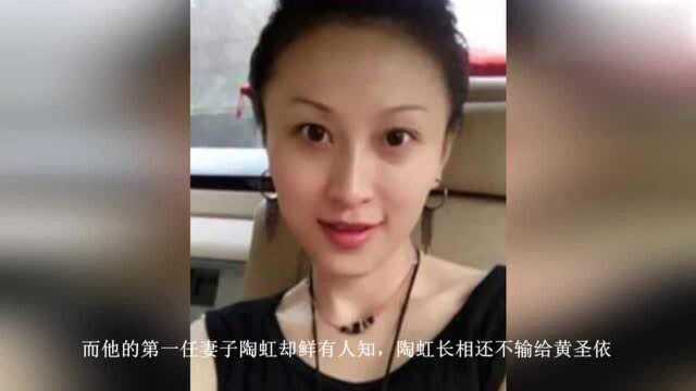 杨子43岁前妻陶虹状态超好不输黄圣依 女儿在哈佛就读