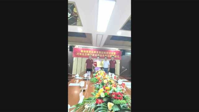 敏涵集团获河南省品牌促进会副会长