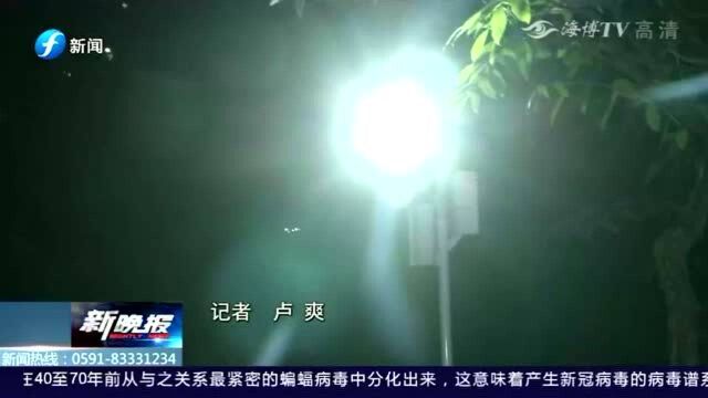 金山公园照明灯太亮太刺眼,如此设计让居民直呼不合理!