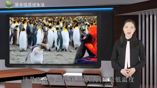 不是温室效应吗?科学测地球最低温,温度下降7摄氏度!