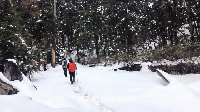 攀登哈巴雪山第一天,哈巴村到大本营,爬升海拔1300米