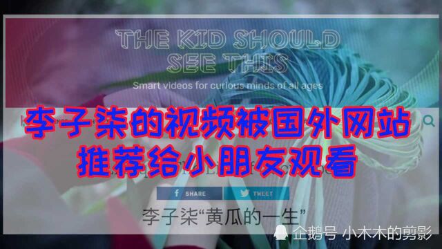 李子柒的视频被国外网站推荐给小朋友观看