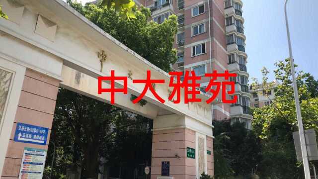 浦东金桥中大雅苑现场直击和户型介绍,金桥中大雅苑怎么样,