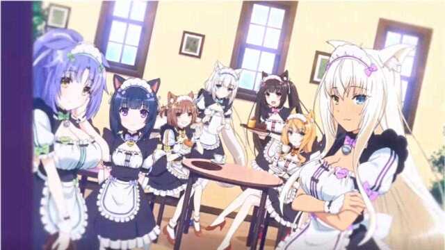 猫娘乐园「AMV」Wont Let Go HD !