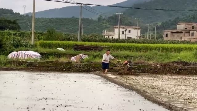 都说广东有钱,实拍真实的广东农村生活,你还愿意来吗