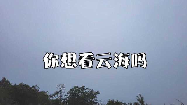 重庆周边有一个地方可以避暑还享受360Ⱖ— 死角的云海、日出、夕阳、星空