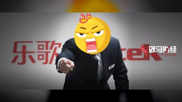 深扒“一战而红”的董事长项乐宏