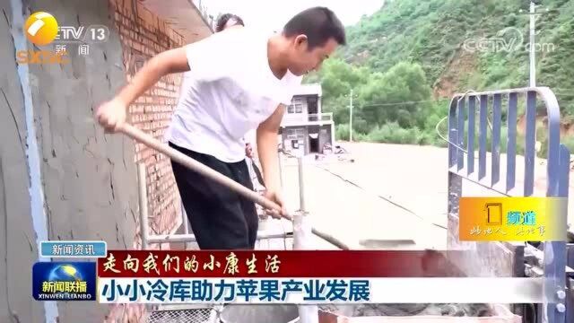 【走向我们的小康生活】陕西延安:小小冷库助力苹果产业发展