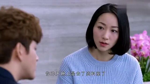 婚姻遇险记:前妻替公司探前夫的口风