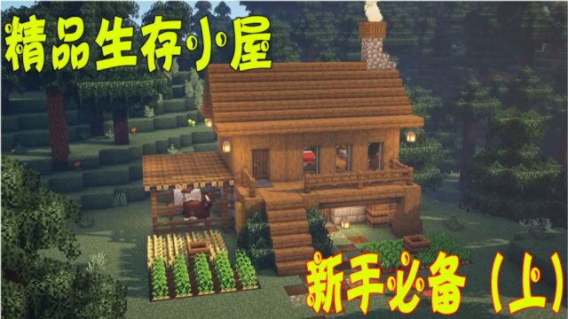 我的世界:精品生存小屋建造!新手你难道不想学?