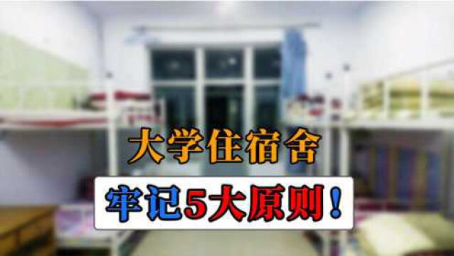 大一新生住宿舍,要记牢的“5大”不成文原则,否则四年将很辛苦