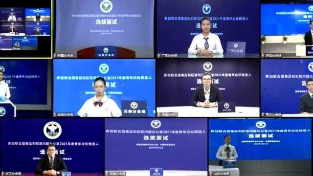 联合国毒品与犯罪问题办公室青年论坛网络面试1