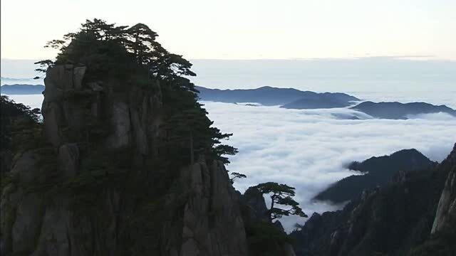 黄山是一座充满传奇的名山,黄山上的迎客松可谓代表之作!