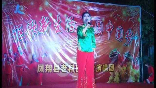 燕子演唱的歌曲《翻身农奴把歌唱》