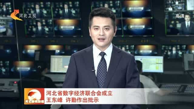 河北省数字经济联合会成立 王东峰许勤作出批示