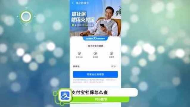 支付宝怎么查社保