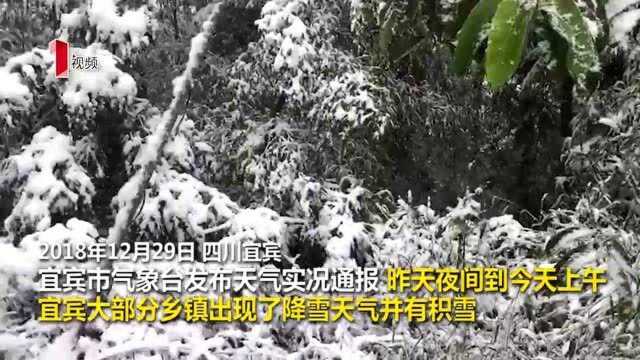 四川宜宾:多地下雪,市民纷纷上山赏雪玩雪