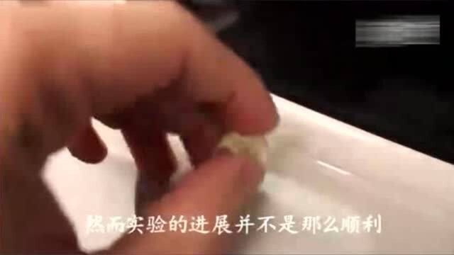 中国高铁立硬币VS日本高铁立硬币,亮点是还能立信用卡