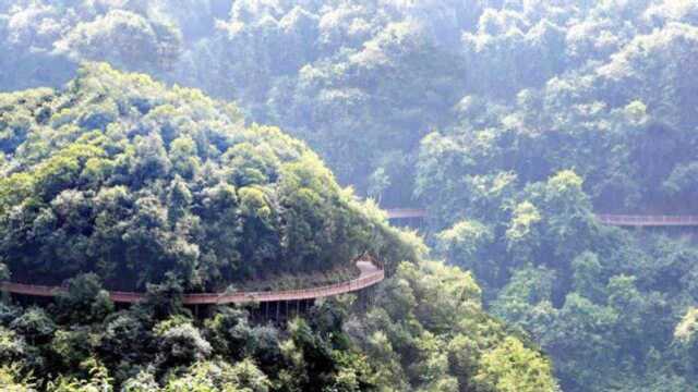 安徽环境最好的城市芜湖,这五大美景,值得一看