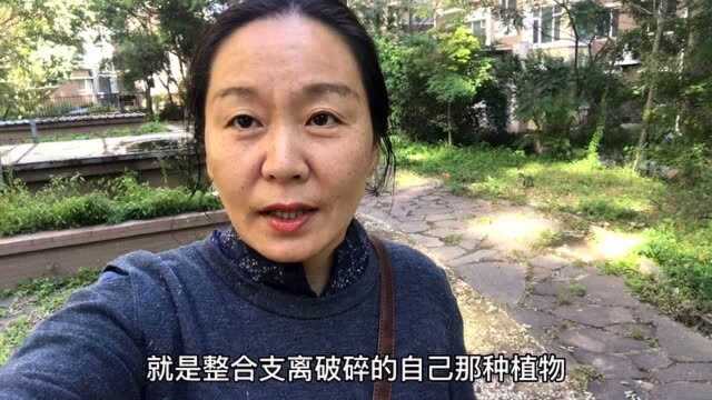 十一回家干点啥?翻翻半年前的日记,看看自己变化了什么?