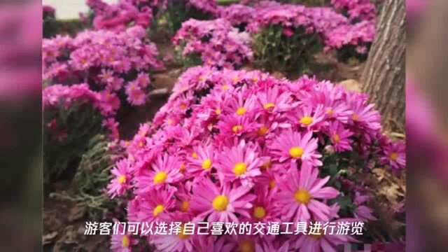 跑马岭生态休闲度假区国庆期间免门票 远离喧嚣开启清肺养心之旅