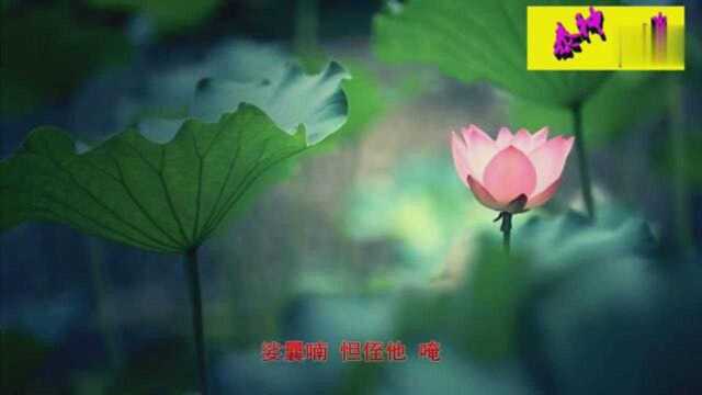 佛教音乐《消灾吉祥神咒》常听者消灾增福慧,大富大贵安康百年!