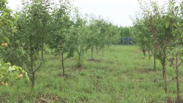 哈尔滨市林业科学研究院 《驻村队长邢广有事迹》