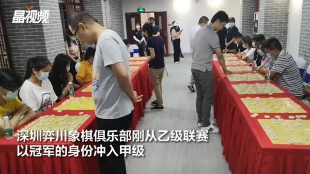 “梧桐山招来了金凤凰” 深圳弈川象棋俱乐部训练基地落户梧桐山