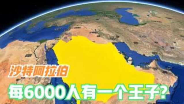 沙特阿拉伯总人口仅3255万,却有5000王子,每6000人一个王子?