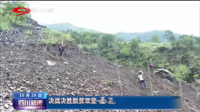 四川新闻|吴红:建合作社 大家一起富