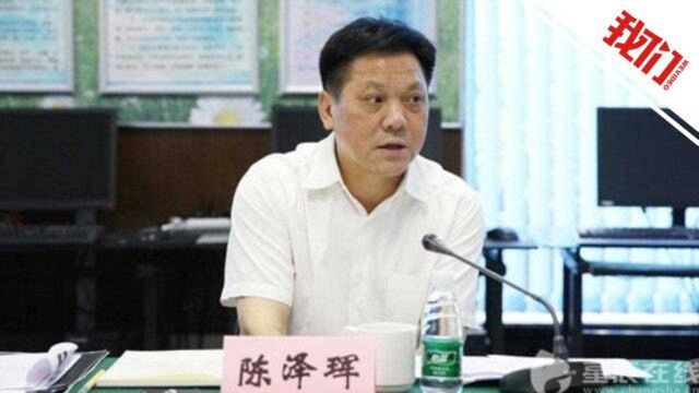 与儿子同日被查的长沙原副市长被开除党籍 为任职涉嫌年龄造假