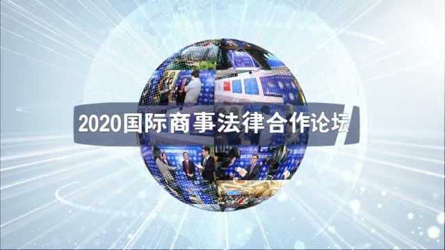 往期回顾丨2019国际商事法律合作论坛(I)