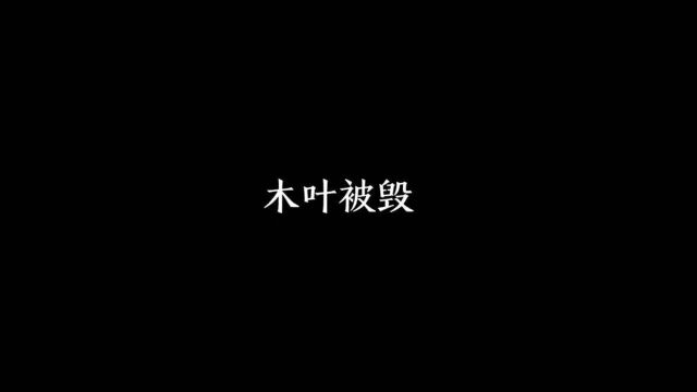 火影:第五次忍界大战,自来也与鸣人大战,佐助实力大减,昏迷