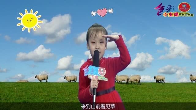 杨雨橙《丢三落四的小三毛》