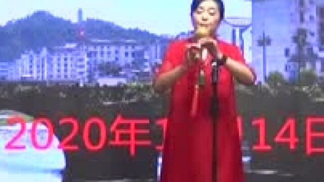 葫芦丝独奏:《月光下的凤尾竹》表演者:王小华