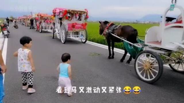 带萌宝出去玩,萌宝看到马车好兴奋,这么多马车在干嘛?