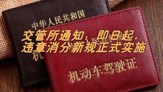 车管所:即日起,违章消分新规正式实施,别再傻傻打电话借分了