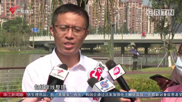 广州南沙拆违治水 碧道建设见成效